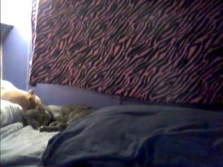 nuttybuddy7 on cam for live nude video chat