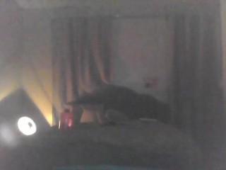 Muffin on cam for live nude video chat
