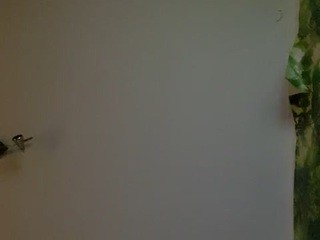 nicedickbig1 on cam for live nude video chat