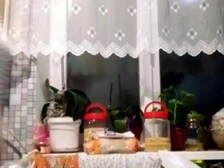 Rocky-Night on cam for live nude video chat