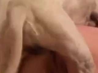 my-ecstasy nude in hot sex Live chat