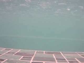 voyeurcam-casa-salsa-hottub nude in hot sex Live chat