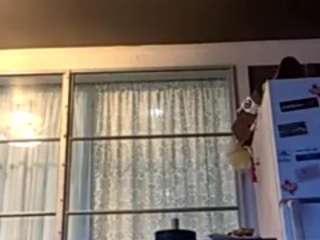 Stonedcloan nude in hot sex Live chat