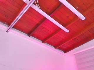 emma-ma nude in hot sex Live chat