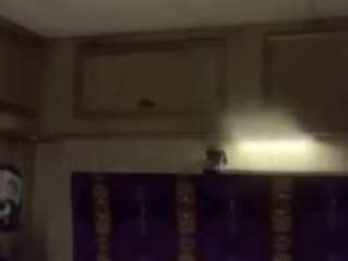 plarzd nude in hot sex Live chat