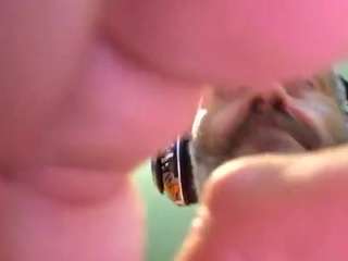 pelayob2 nude in hot sex Live chat